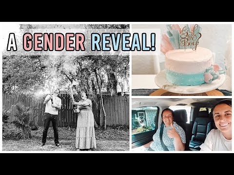 My Sister's Gender Reveal! | DITL of a Mennonite Family in Florida