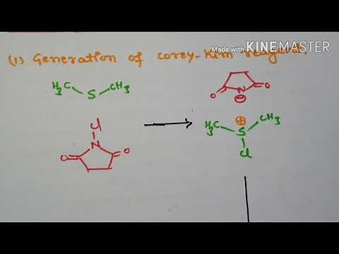 Corey - Kim Oxidation / Reagent