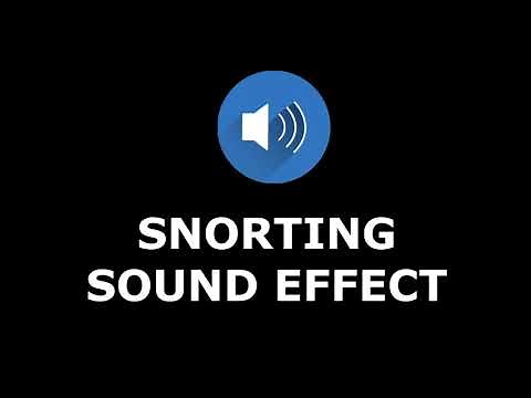 Snorting Sound Effect