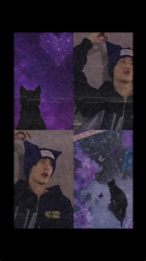 Explore the Magic of Purple Cat Book💜