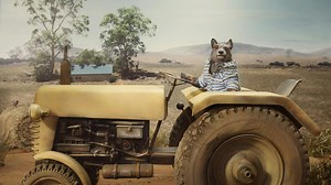 Telstra launches 26 stop motion ads starring Aussie wildlife