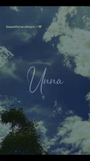 song lyrics