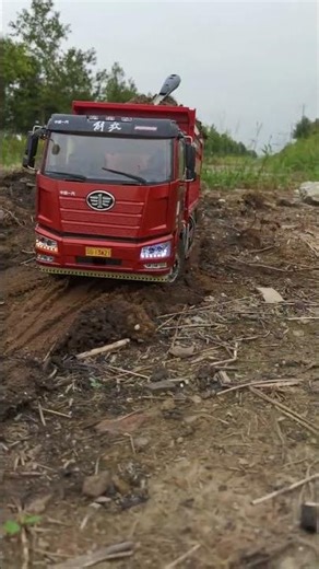 #RC Model #Car Model #Remote Control Model #They Actually Play with Car Models Like This