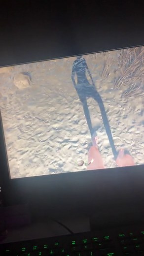 Vsync on rust not working