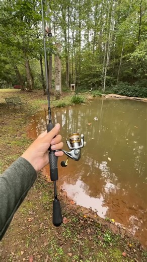 FirstStateFishing | I paid $60 to fish this tiny pond.. #fishing #firststatefishing #catchandcook #fish | Instagram