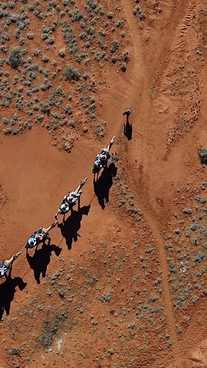 We think Pyndan Camel Tracks, Alice Springs would tell you one of the best ways to see Alice Springs is atop a camel! 🐪 You can enjoy this optional upgrade Off Train Experience for yourself, during your Ghan journey from Adelaide to Darwin! Find out more information about our Off Train Experiences at www.journeybeyondrail.com.au. 🎥 Pyndan Camel Tracks, Alice Springs | Journey Beyond Rail