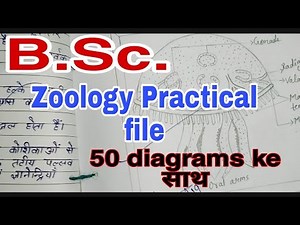 Zoology practical file bsc ( ऐसे बनाओ )
