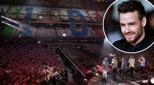 Zayn, Harry, Niall, Louis' final decision on reunion sparks reactions