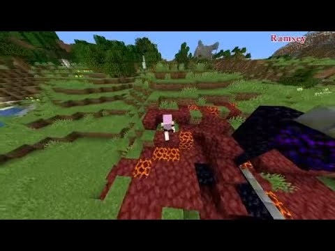 WORLDS FIRST SUB ONE HOUR NO F3 WOODLAND MANSION MINECRAFT SPEED RUN (JAVA 1.16.1)