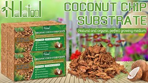 Halatool 10LB Compressed Coconut Coir Chips, 100% Natural Organic Coco Husk Chips Coco Chips Substrate for Plants Flowers, Garden