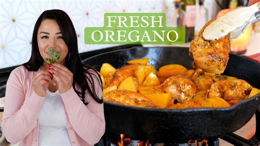 Easy Oregano Chicken & Potatoes – Cheap, Flavorful, and Delicious!