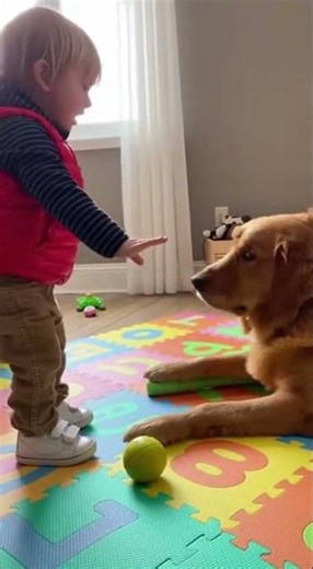Tiny Boss Gets Ignored By Goofy Dog 🐕