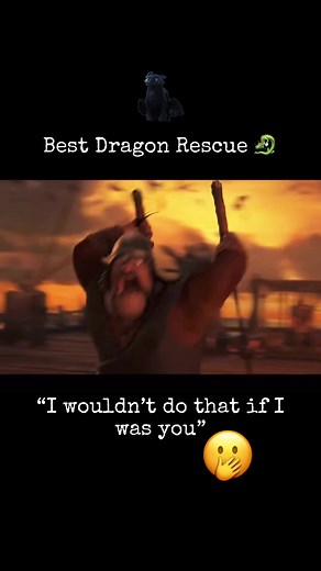 Best Dragon Rescue Mission: How to Train Your Dragon