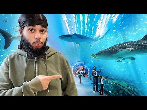 I Found WORLDS Biggest SHARK In Underground Aquarium