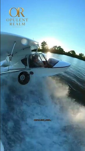 SeaRey Aircraft Explained | Amphibious Light Sport Plane That Lands on Water & Runways