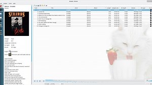 Strawberry: A Fork of Clementine Music Player