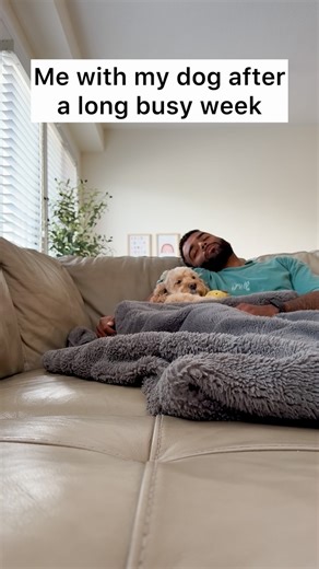 Luna The Mini Cockapoo on Instagram: "This is all I ever really need 🥺 #dogs #puppylove #minicockapoo"