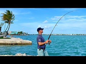 Fishing in the Florida Keys - Shore fishing in the Ocean - What fish can we catch? | The Fish Locker