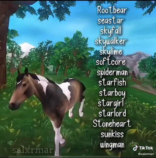 Creative Star Stable Horse Names Ideas