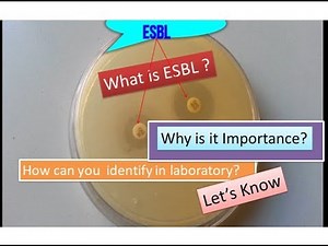 ESBL |Extended-spectrum beta-lactamase | Escherichia coli
