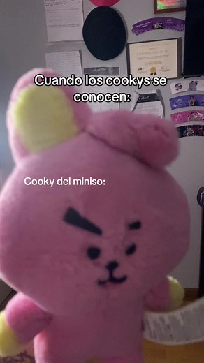 Cooky del Miniso: Cuando los Cookys se Conocen