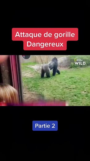 Reportage_Animalier sur TikTok