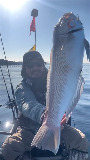 Robi Cruise ロビクルーズ on Instagram: "水の国 霧隠れの里 初代水影 白蓮獲ったぜ！ #カヤックフィッシング #supフィッシング #タイラバ"