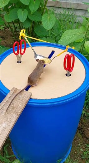 Shocking! Kitchen tools turn trap, mouse caught in seconds #pestcontrol #kitchentips #DIY