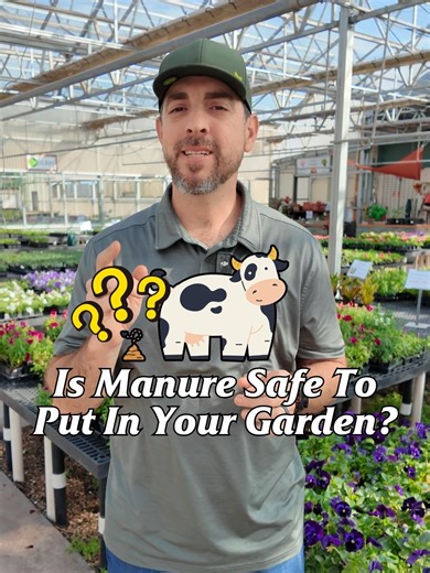 The Hidden Risks of Manure in Your Garden