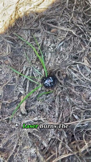 They Are Burning The Fields... Or Are They? 🔥 #farming #agriculture