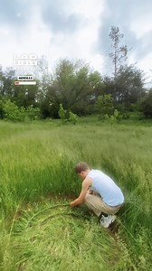 You just know someone’s blaming aliens for this… 😂🌾 | LADbible Ireland