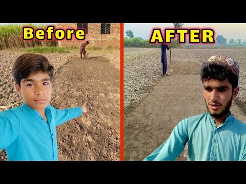 How To Make Cricket Pitch 🏏