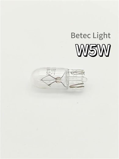 w5w car light