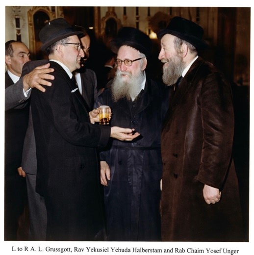 The Blogs: From Munkatch to Mizrachi: My Family and Zion