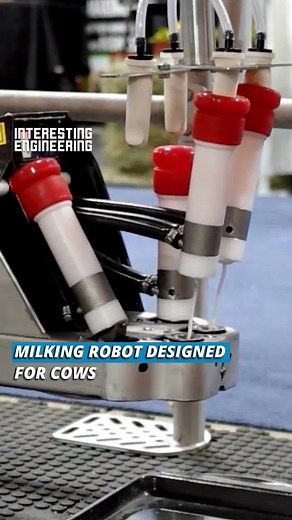 Automated Milking Robot for Increased Efficiency on the Farm