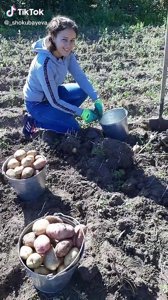 _shokubayeva_ on TikTok