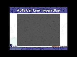 Performing the Trypan Blue Viability Assay using Automated Cell Counting (Nexcelom Bioscience)