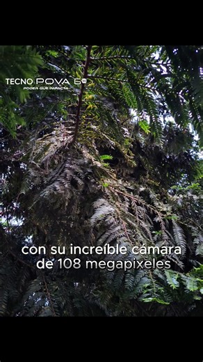 ¡Domina la fotografía móvil con tu TECNO POVA 6 5G! 📸✨ Descubre estos TIPS imprescindibles para capturar cada detalle y transformar tus momentos en recuerdos inolvidables. #TECNOPOVA65G #TECNOMOBILECOLOMBIA | TECNO Mobile
