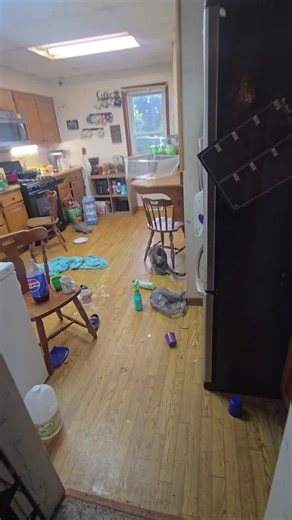 Efficient Kitchen Cleaning Tips and Motivation