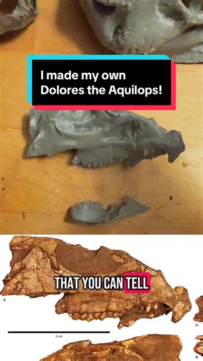 Descubriendo a Dolores: El Aquilops del Jurásico