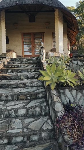 94 reactions · 9 comments | We love all things conservation and our...