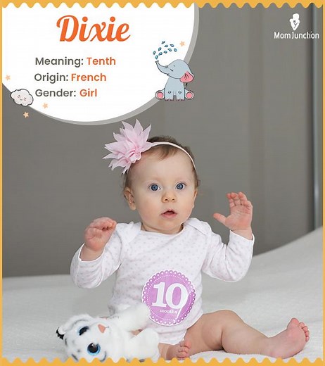 Dixie Name: Origin, Meaning, Popularity, And Key Insights