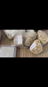 9.1K views · 256 reactions | MULHER É PRESA EM FLAGRANTE COM GRANDE...