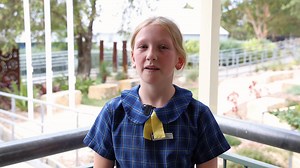 Creative writing competition is now live Get your submissions in by the 28th of November Prizes for 1st and 2nd for both K-2 and 3-6 Here's Annie with the details | Arcadia Vale Public School