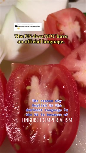 Exploring Language Imperialism: The Dominance of English in the US