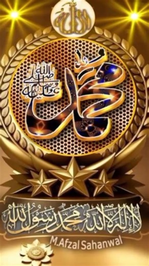 TikTok · Tariq Anwar