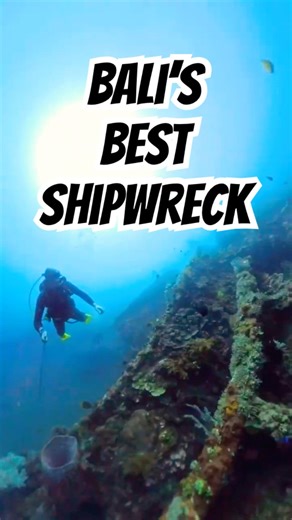 USAT Liberty – Bali’s Best Shipwreck! 🤿 #baliescape #scubadiving #bali #divebali #gopro #underwater