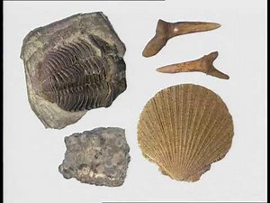 Episode 13: Skeleton (Andrew Sachs) - Eyewitness (1994)