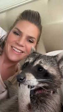 try not to laugh at funny videos from 2025 pt. 2 extended #funny #comedy #foryou #animals #prank