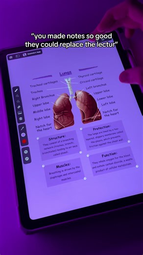 Enhance Your Note-Taking with ZoomArt App